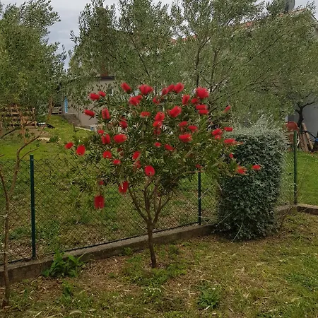 Apartman With Parking Space Viganj, Peljesac - 13241 *