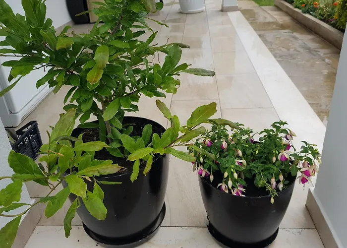 With Parking Space Viganj, Peljesac - 13241 아파트